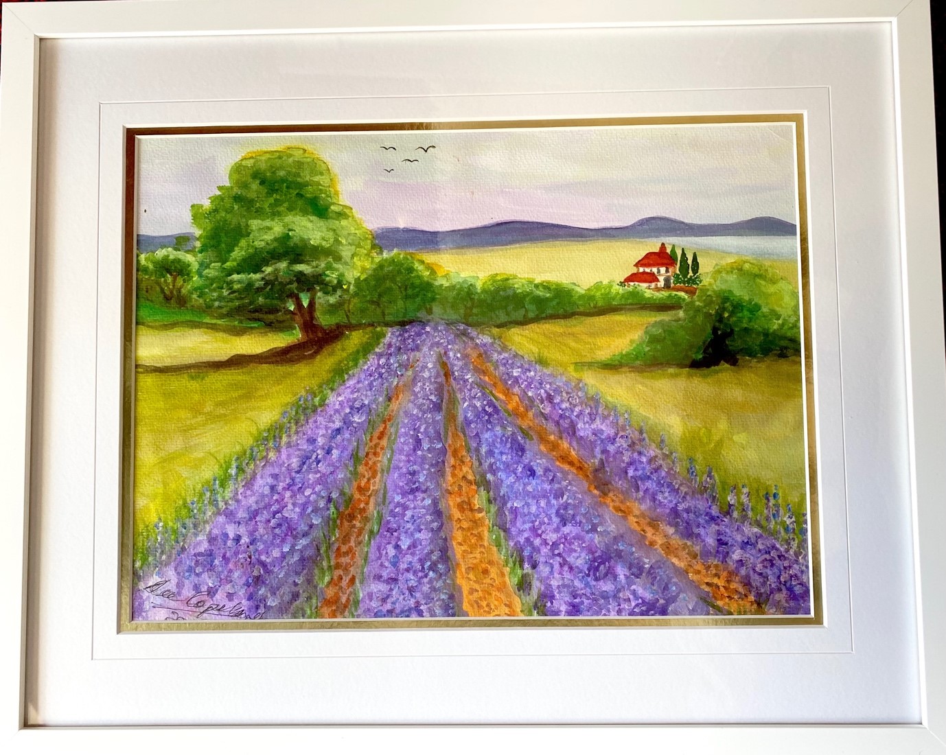 Lavender Field – France